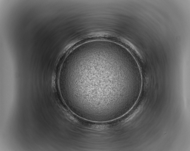 X0000115370778200911101245