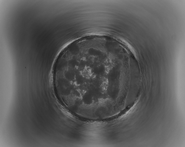 X0000115370779200911101245