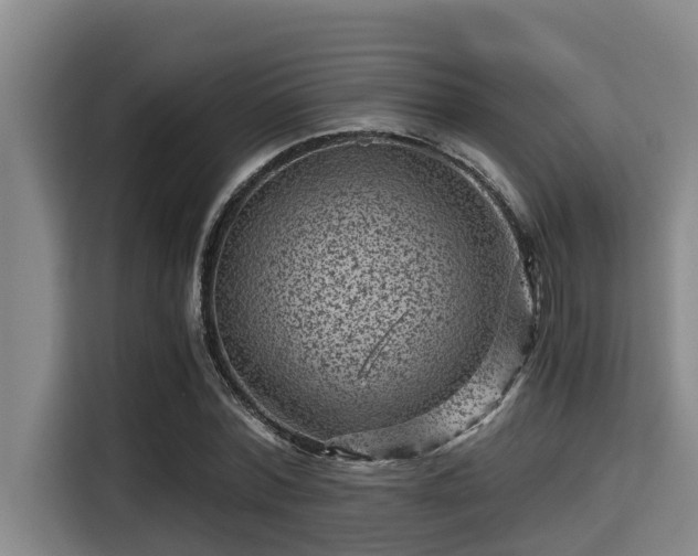 X0000115370780200911101245