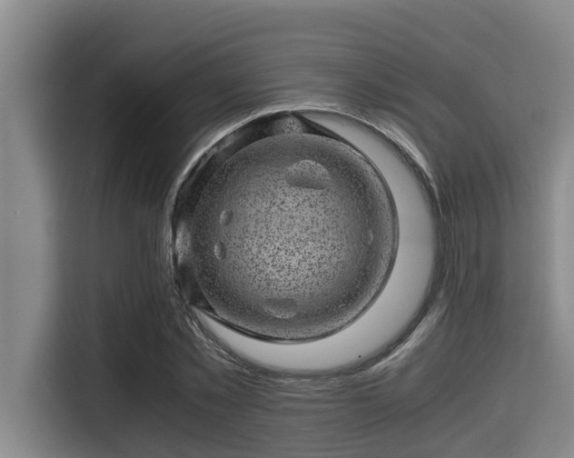 X0000115370781200911101245