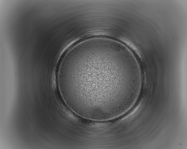 X0000115370782200911101245