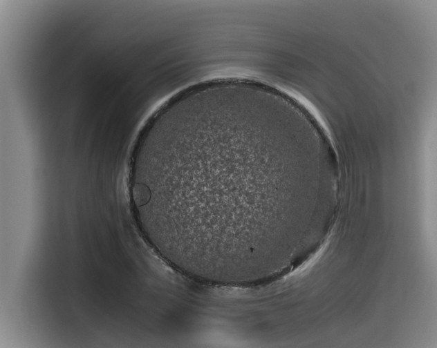 X0000115370783200911101245