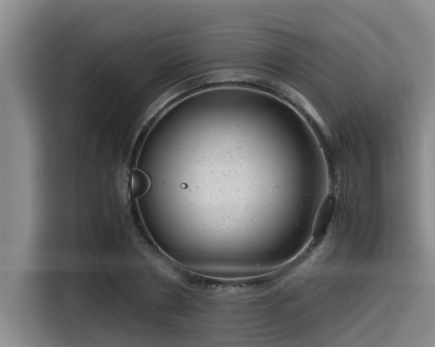 X0000115370786200911101245