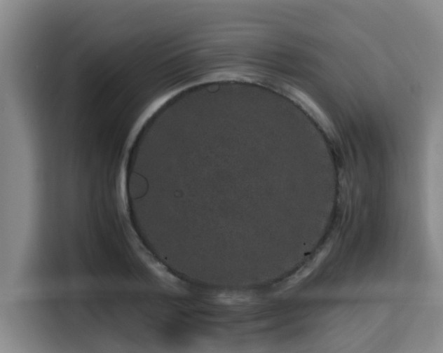 X0000115370788200911101245