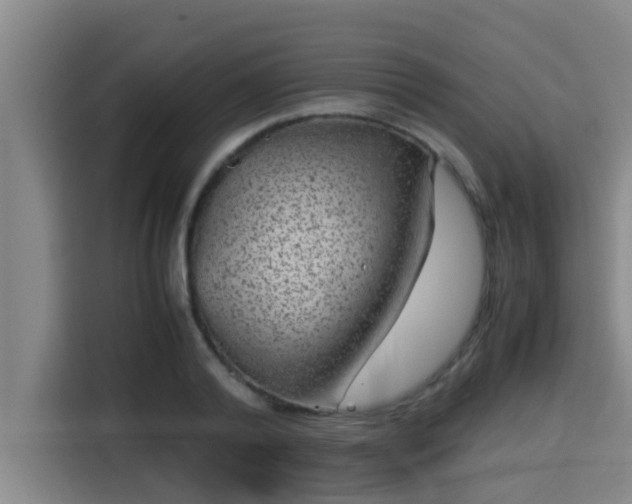 X0000115370792200911101245