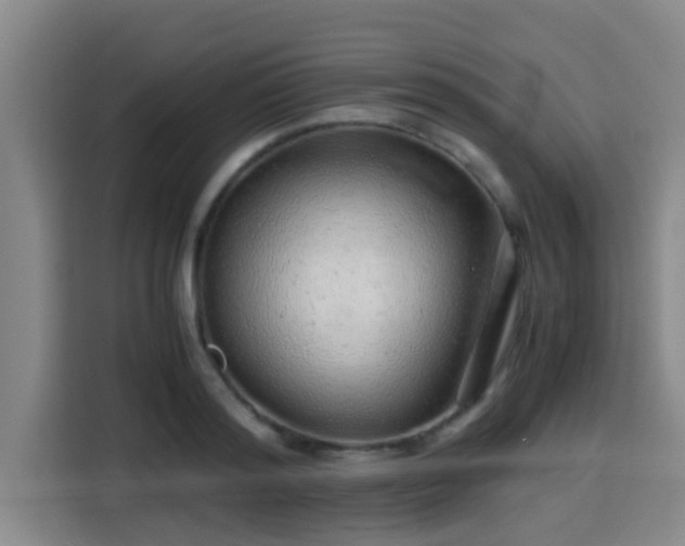 X0000115370796200911101245