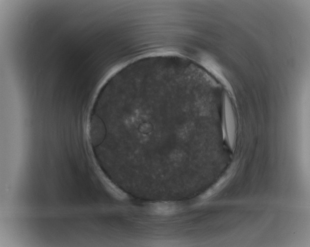 X0000115370797200911101245