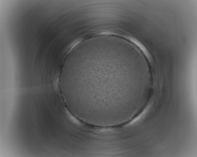 X0000115370801200911101245