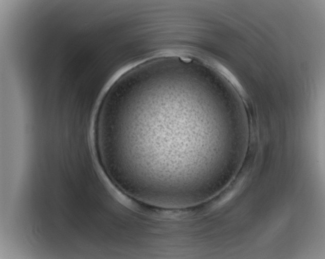 X0000115370803200911101245