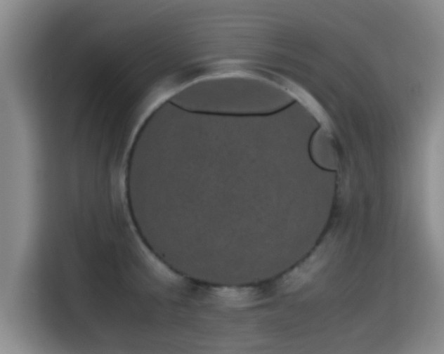 X0000115370805200911101245