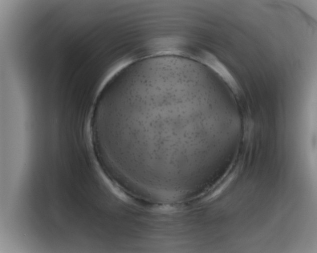X0000115370806200911101245