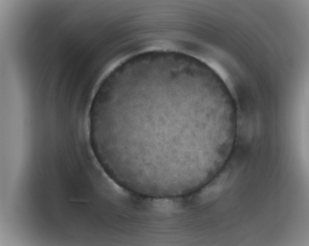 X0000115370807200911101245
