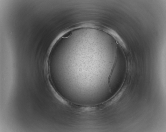 X0000115370808200911101245