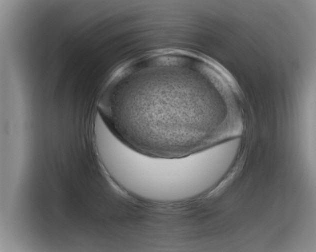 X0000115370809200911101245