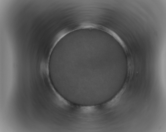 X0000115370810200911101245