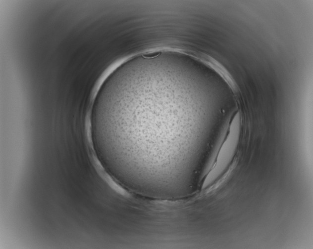 X0000115370812200911101245