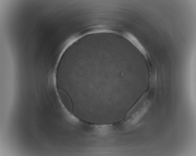 X0000115370813200911101245