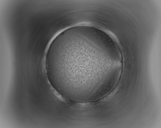 X0000115370816200911101245