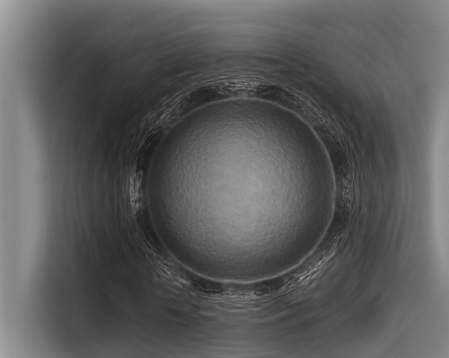 X0000115370818200911101244