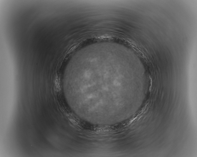 X0000115370819200911101244