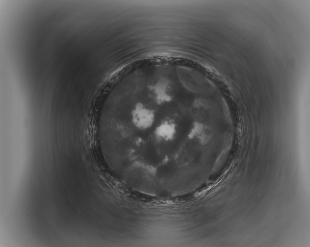 X0000115370822200911101244