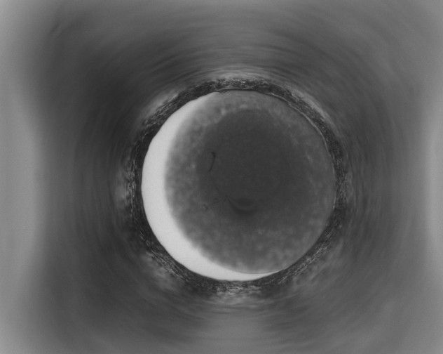 X0000115370824200911101244