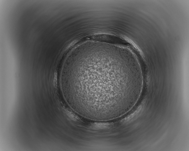 X0000115370825200911101244