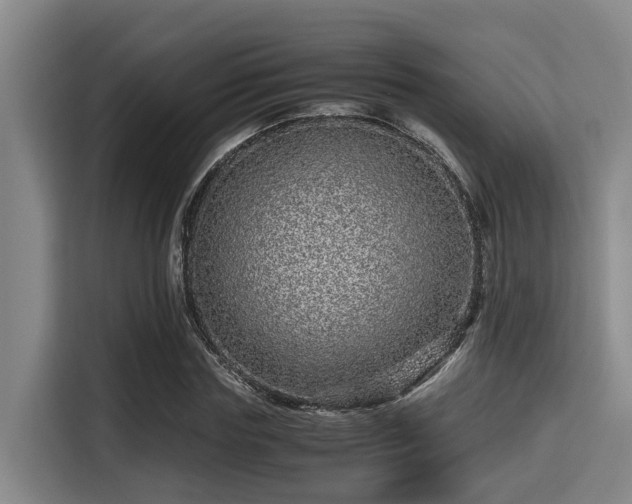 X0000115370827200911101244