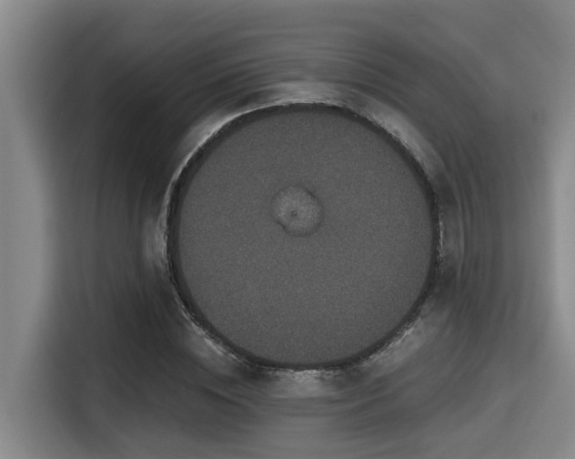 X0000115370828200911101244