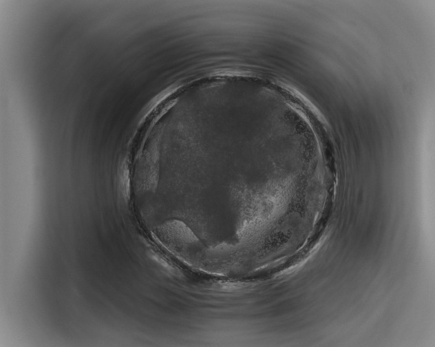 X0000115370829200911101244