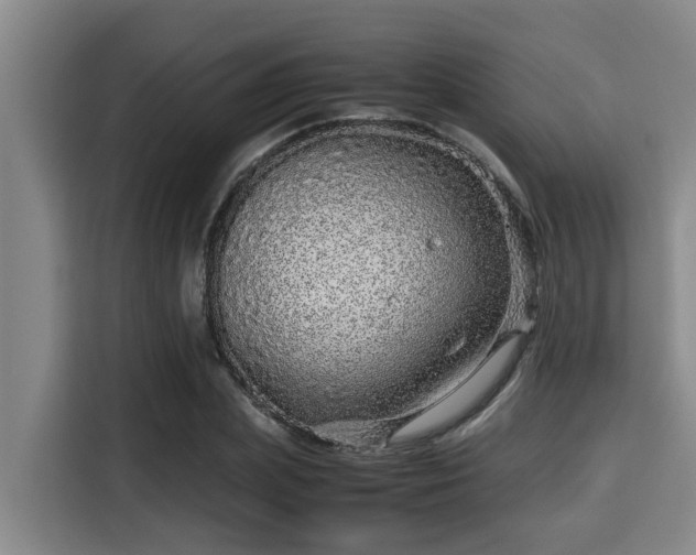 X0000115370831200911101244