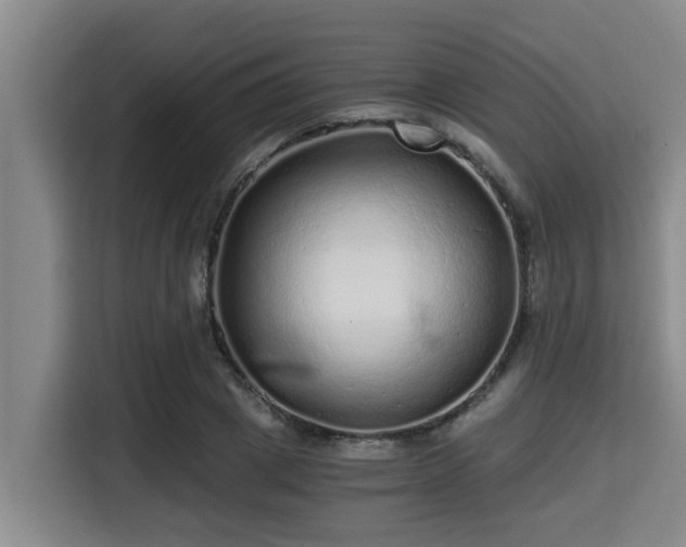 X0000115370833200911101244