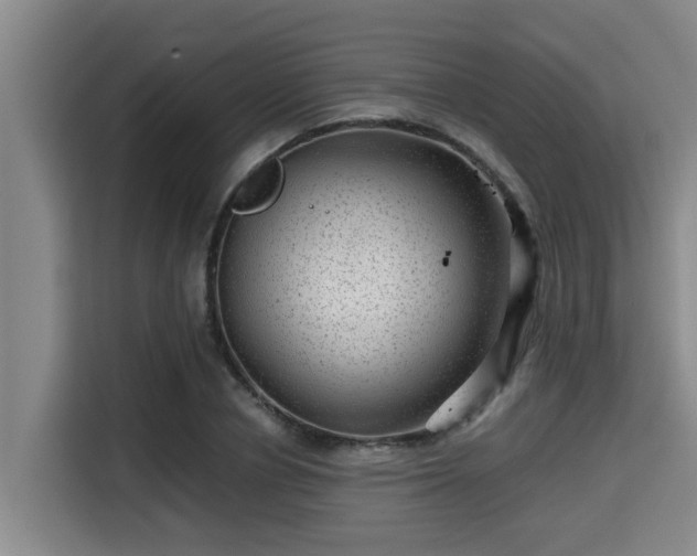 X0000115370834200911101244