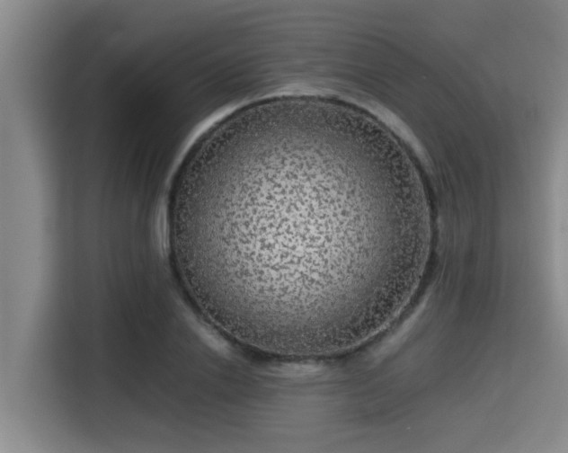 X0000115370838200911101244