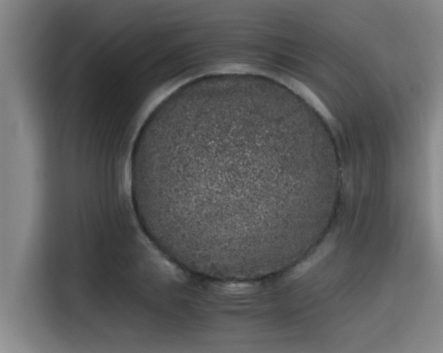 X0000115370839200911101244