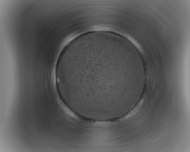 X0000115370840200911101244