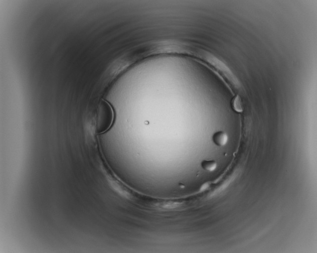 X0000115370841200911101244