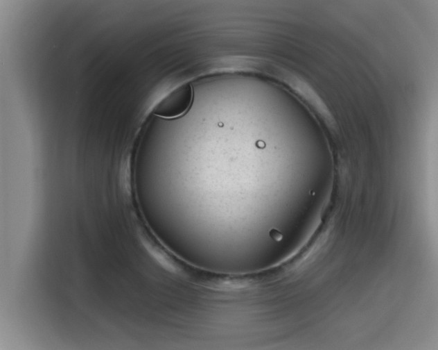 X0000115370842200911101244