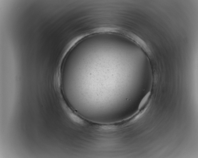 X0000115370844200911101245