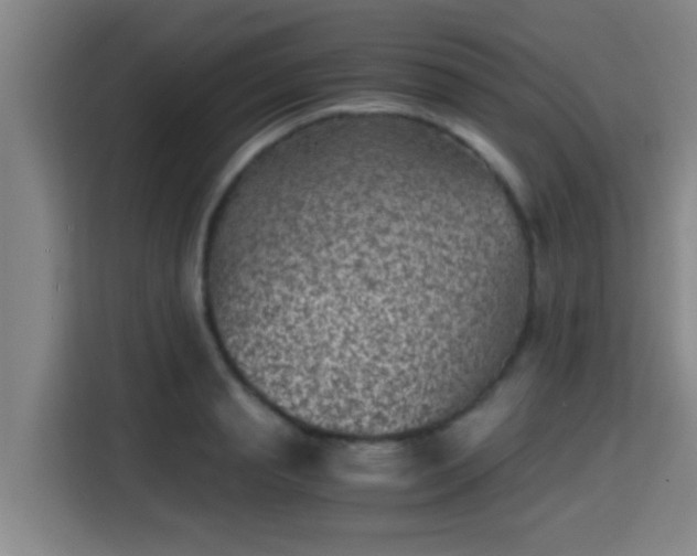 X0000115370845200911101245
