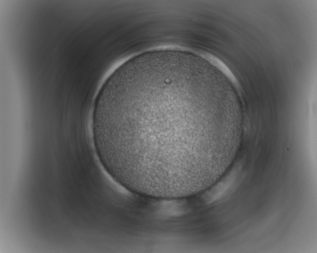 X0000115370847200911101245