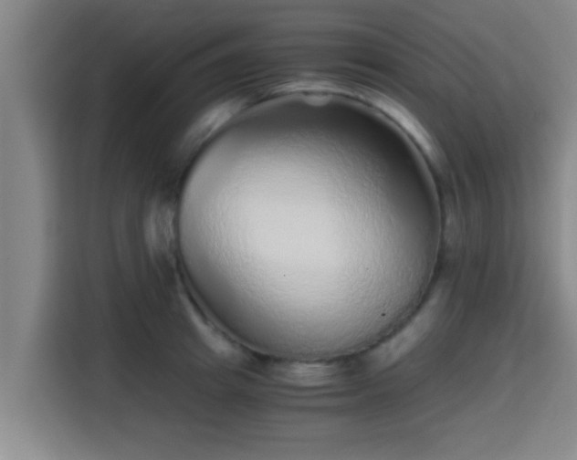 X0000115370849200911101245