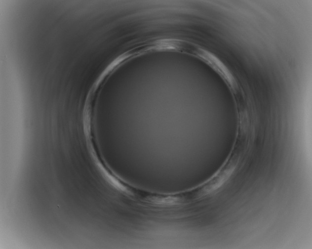X0000115370851200911101245