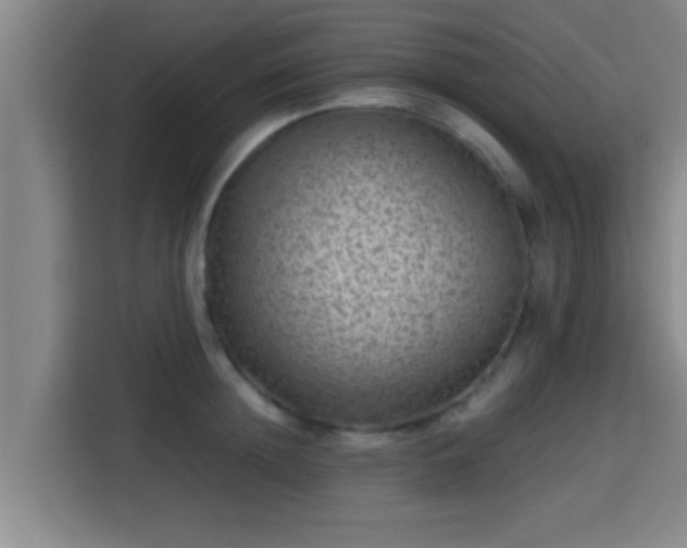 X0000115370852200911101245
