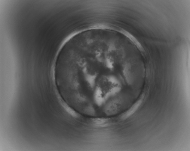 X0000115370854200911101245