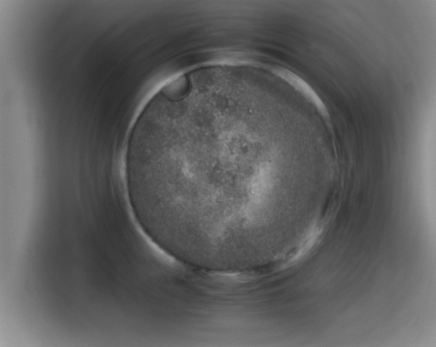 X0000115370855200911101245