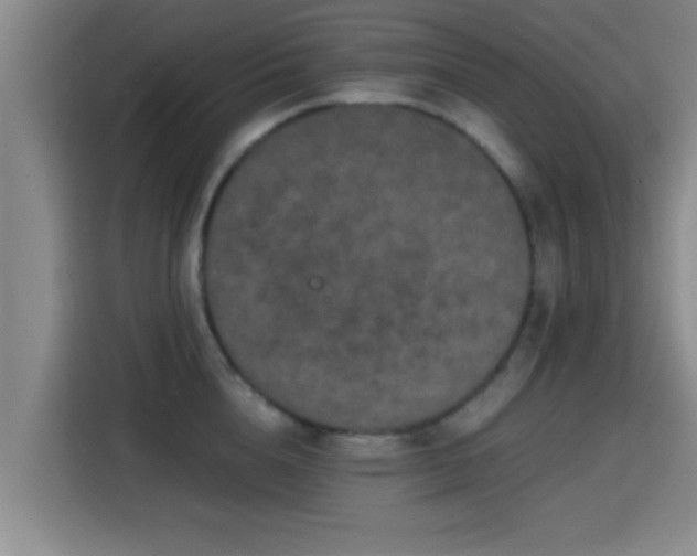 X0000115370856200911101245