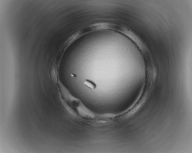X0000115370857200911101245