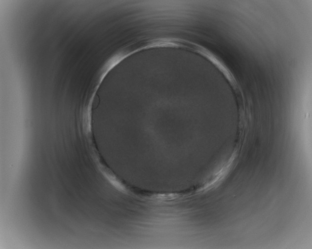X0000115370858200911101245