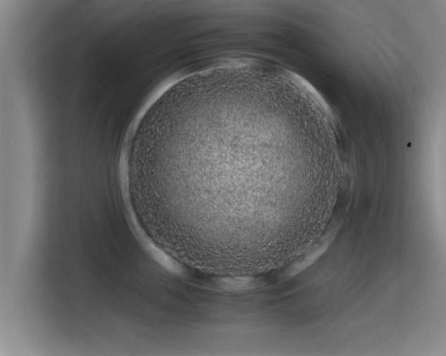 X0000115370859200911101245